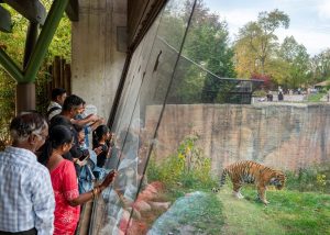 Detroit Museums And Zoo Seek Voter Approval For 10 Year Millage Funding