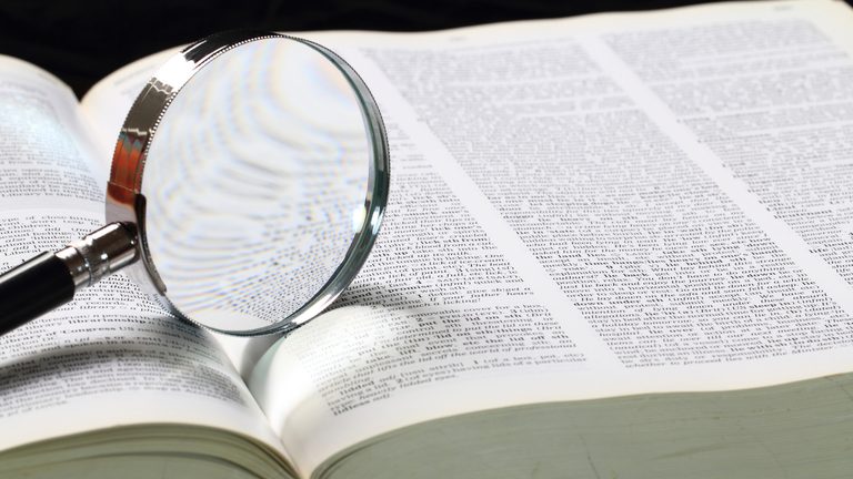 Dictionary Com Names Maxxing As 2026 Word Of The Year