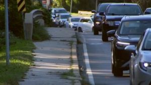 Dmv Officials Warn Drivers Of Higher Deer Collision Risk During Fall Breeding Se