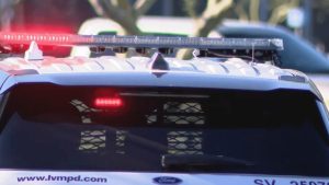 Dog Shot And Killed On Desert Inn Road In Las Vegas