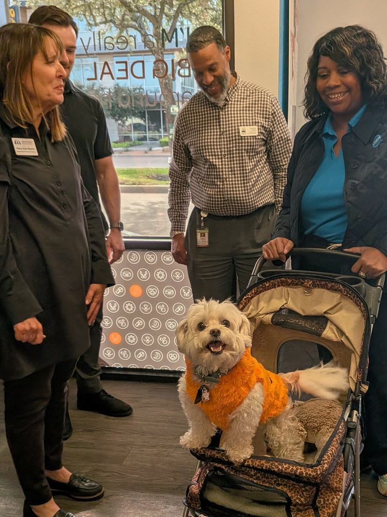 Dogtopia Of Dallas Inwood Reopens Under New Owners Emphasizing Canine Wellness
