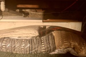 Donate Unused Blankets To Twin Falls Shelters As Cold Weather Approaches