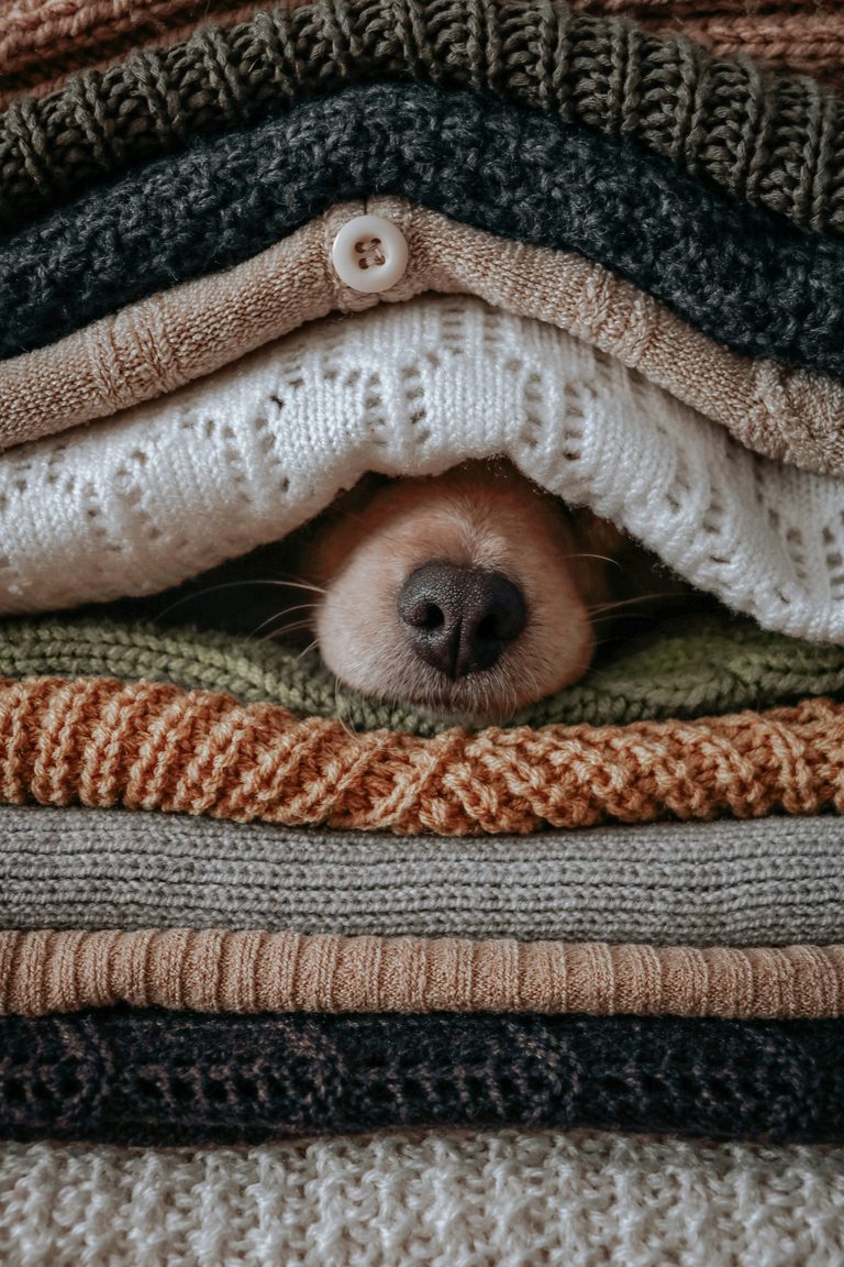 Donate Your Old Towels And Blankets To Lubbock Charities