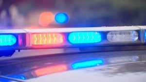 Driver Cited After 75 Year Old Woman Killed Crossing Highway 99E In Oak Grove