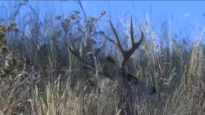 Dry Conditions Heighten Fire Risk For Hunters In Rapid City Area