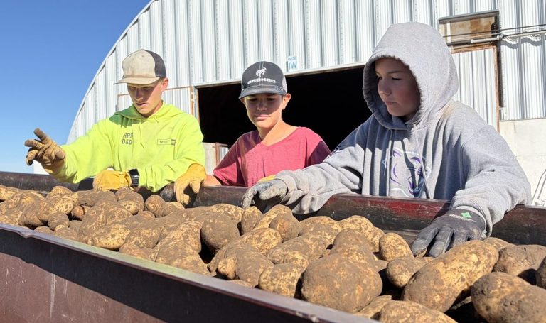 East Idaho Students Trade Classrooms For Potato Fields During Harvest Break