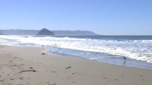 El Ni O Driven Kelvin Wave Lifts Sea Levels Along Central Coast