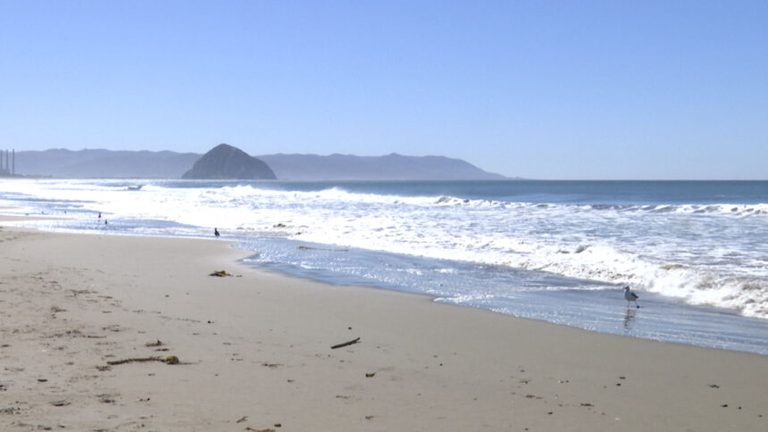 El Ni O Driven Kelvin Wave Lifts Sea Levels Along Central Coast