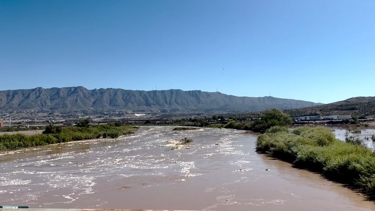 El Paso Animal Rescue Readies Dogs And Cats For Possible Rio Grande Flood
