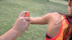 El Paso Health Officials Urge Residents To Use The 4 Ds To Stop Mosquito Breedin