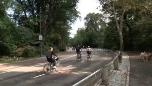 Elderly Cyclist Killed After Collision With Off Leash Dog In Central Park