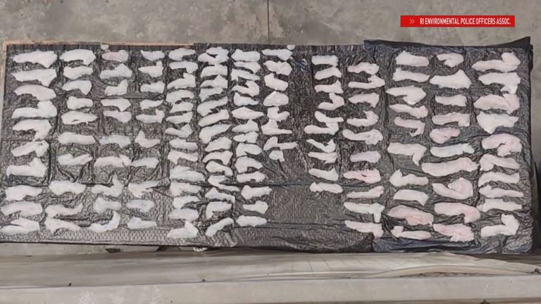 Environmental Police Anticipate Charges After 140 Fish Fillets Found On Middleto