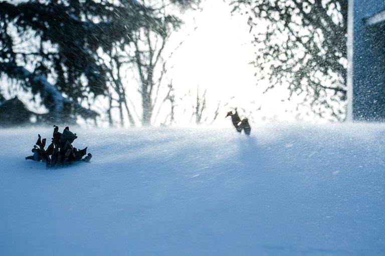 Essential Winter Prep Checklist For Minnesota Homeowners