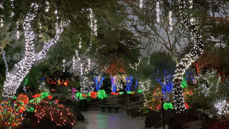 Ethel M Chocolates Brings Back Holiday Cactus Garden With Over 1 Million Lights