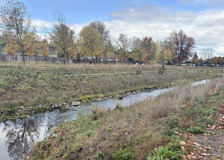 Eugene Pays 23 400 Fine After Sediment Spill During Amazon Creek Restoration