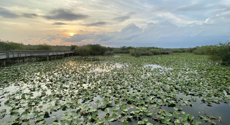 Explore Florida S Top Ten State And National Parks For Family Adventures