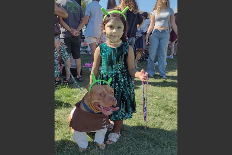 Fall Family Fun In Hays County Pet Fest Veterans Day Parade And More