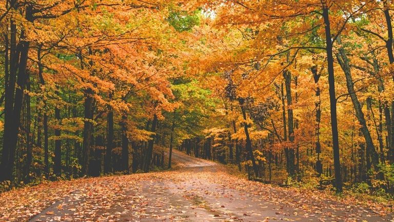 Fall Foliage Extends Beyond New England At Five Top U S Destinations