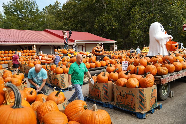 Fall Fun In Akron 14 Farms Orchards And Markets To Visit