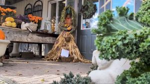 Fall Garden Cleanup In Lafayette Why You Should Delay Pruning And Try A Simple C