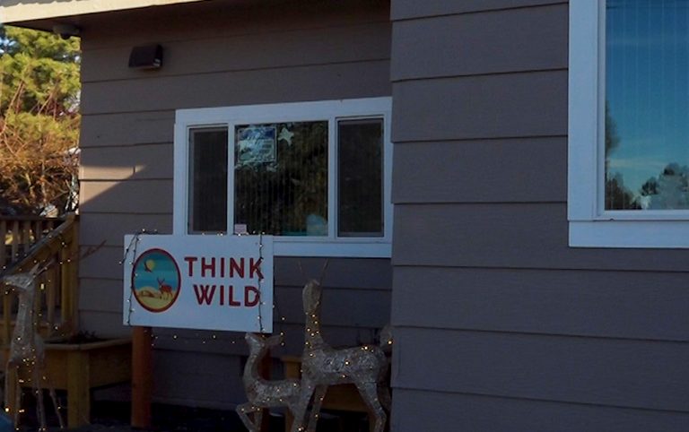 Fall Migration Spikes Window Strikes On Birds In Bend Wildlife Group Urges Preve
