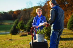 Fall Tree Planting Tips For Wylie Residents