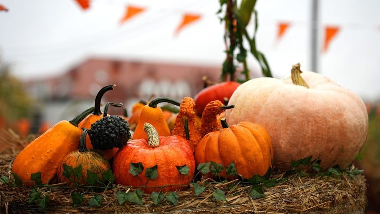 Family Friendly Weekend Events Across Green Country Oct 17 18