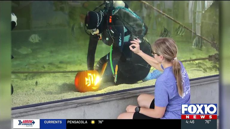 Family Halloween Activities Planned At Dauphin Island Sea Lab And Bellingrath Ga