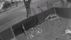 Fargo Daycare Owner Reports Beer Cans And Vapes Tossed Into Yard