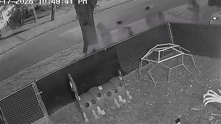 Fargo Daycare Owner Reports Beer Cans And Vapes Tossed Into Yard