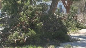 Fema Approves 16 Million Debris Aid For Pensacola And 14 Other Florida Counties