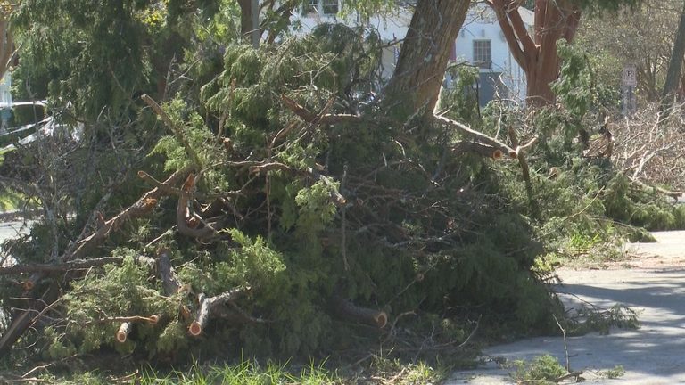 Fema Approves 16 Million Debris Aid For Pensacola And 14 Other Florida Counties