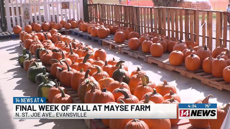 Final Week Of Fall Fun At Mayse Farm Market In Evansville