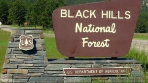 Fire Restrictions Eased On Wyoming Side Of Black Hills National Forest