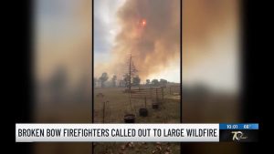 Firefighters Battle Large Wildfire On Bailey Road Near Eagletown