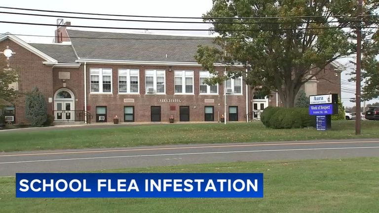 Flea Infestation At Aura Elementary Forces Parents To Take Extra Precautions