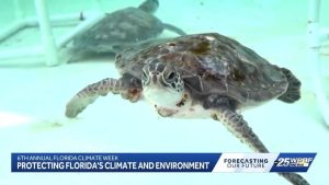 Florida Climate Week Highlights Local Ocean Research And Environmental Threats I