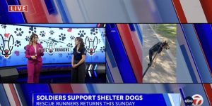 Fort Bliss Soldiers And Locals Walk Shelter Dogs In Monthly Rescue Runners Progr
