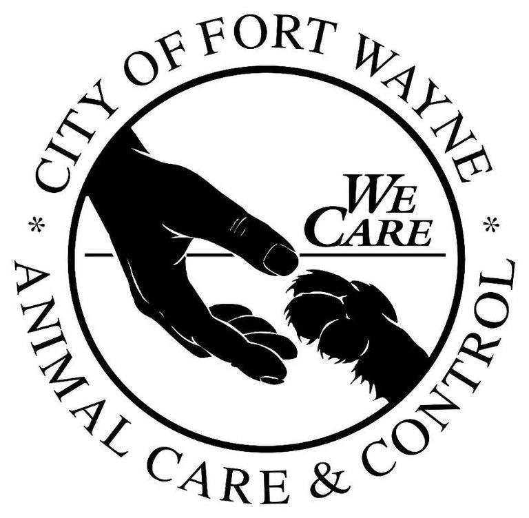 Fort Wayne Animal Care Waives Fees For Large Dogs In Home Sweet Homecoming Event