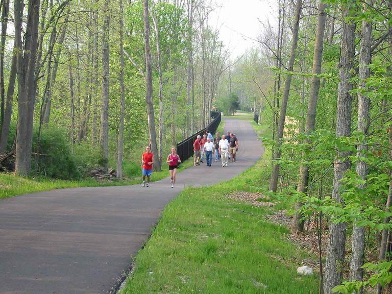 Fort Wayne Calls Volunteers To Join Great Tree Canopy Comeback On Oct 17