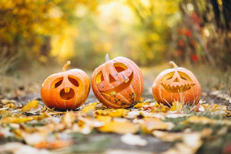 Free Family Fall Festivals And Halloween Fun Across Palm Beach County This Weeke