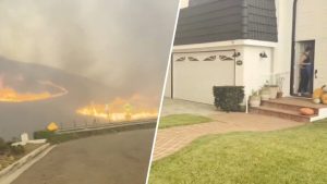 Good Samaritan Alerts Family In San Juan Capistrano As Norte Fire Nears Their Ho