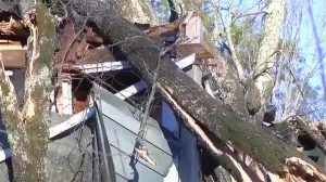 Gov Kay Ivey Asks Fema For Major Disaster Declaration After Hurricane Isaias Hit