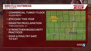 Gov Kim Reynolds Issues Disaster Proclamation For Bird Flu Outbreak In Sac Count