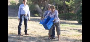 Great Horned Owl Freed At Rancho Tajiguas After Successful Rehab