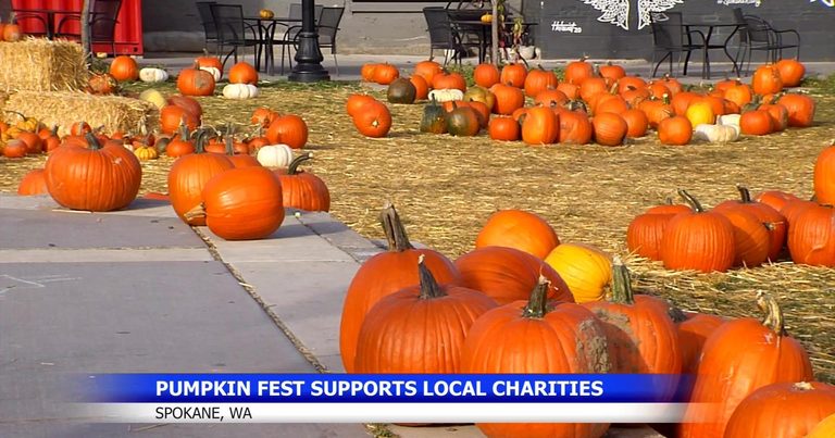 Great Pumpkin Fest Wraps Up At Brick West Brewing Proceeds Benefit Snap Charitie