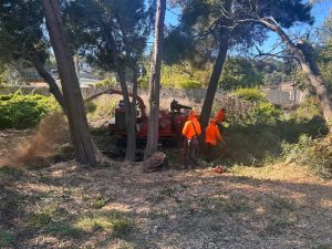 Grover Beach Launches Weeklong Vegetation Management To Guard Against Flooding