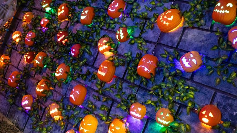 Halloveen Halloween Festival Returns To Magical Forest In Las Vegas