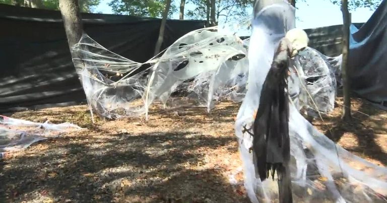 Hampton Coffee Shop Hosts Halloween Trail To Fund Construction Training Nonprofi