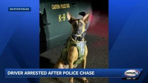 Hampton Man Arrested After Multi State Police Chase K 9 Unit Nets Suspect